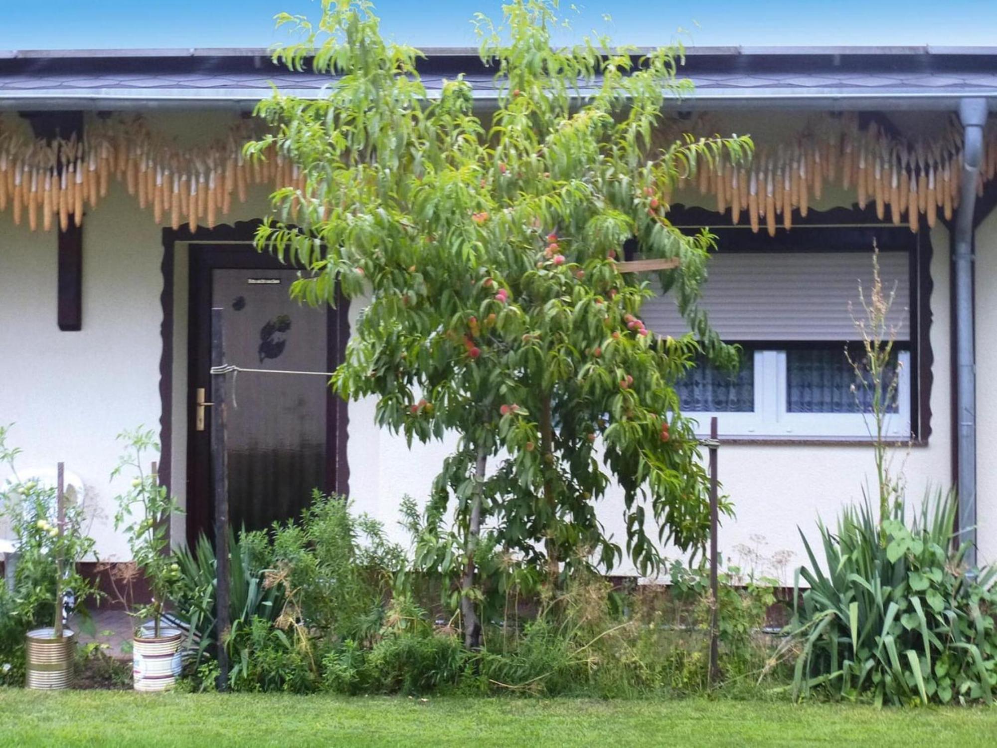 Bungalow In L Bben With A Terrace Lübben Buitenkant foto